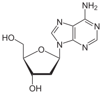 Strukturformel von Desoxyadenosin
