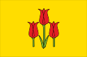 Flag of Volokonovsky District