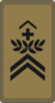 OR-6 - Sergent-Major
