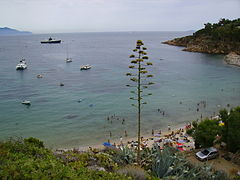 Cannelle beach, Giglio island