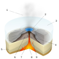 Image 25A diagram of a Subglacial eruption. (key: 1. Water vapor cloud 2. Crater lake 3. Ice 4. Layers of lava and ash 5. Stratum 6. Pillow lava 7. Magma conduit 8. Magma chamber 9. Dike) Click for larger version. (from Types of volcanic eruptions)