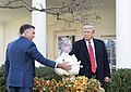 President Donald Trump pardoning a turkey called "Butter" on November 26, 2019