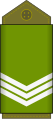 Sergent (Land Forces of the DR Congo)