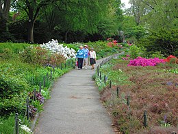 The Heather Garden, with plants in numerous varieties and colors