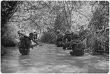 two columns of Marines wade through waist-deep water in a jungle