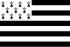 Flag of Brittany