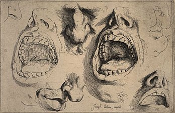 Studies of Noses and Mouths, ca. 1622, etching, 14.7 x 22.2 cm.