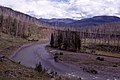 Durch die Brände im Yellowstone-Nationalpark 1988 abgebrannte Gebiete am Fluss