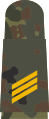 Aufschiebeschlaufen mit goldgelben Em­blemen auf 5-Far­ben-Flecktarn für Marineuniform­träger (hier: Hauptgefreiter)