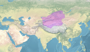 Dzungar Khanate in the early 18th century[1][2]