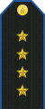 Service uniform shoulder board (Captain)