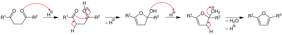Paal-Knorr furan synthesis mechanism