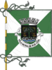 Flag of Vila Nova de Foz Côa