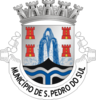 Coat of arms of São Pedro do Sul