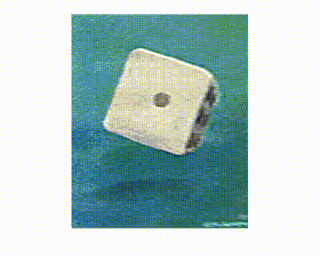 Video h: Magic Dice, by passing this chameleon-painting it shows 1, 2 or 3 pips and its colour changes, 2007, 40 x 30 cm