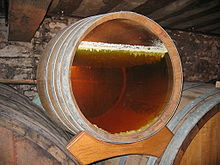 A barrel with a glass bottom revealing the layer of yeast on the surface under which the yellow wine is ageing. This yeast is in the form of an irregular white layer – it forms small stalactites that sink a few millimetres into the wine which is already dark yellow wine. The wall in the background is grey, probably coated in grey mould.