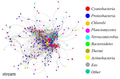 Image 9Co-occurrence network of a bacterial community in a stream (from River ecosystem)