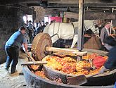 Men operating a large, antique horse-driven apple grinding mill.