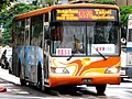 Trunk line bus 「Xinyi Trunk Line 」 (Great Metro bus)