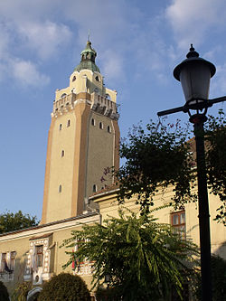 The Tower of the Town Hall
