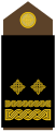 Pukovnik[6] (Croatian Army)