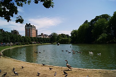 View of the Ixelles Ponds towards the Place Eugène Flagey