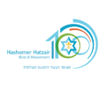 This is the logo of the 100th anniversary of Hashomer Hatzair (2013)