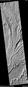 Inverted channels in Aleolis Planum NASA comments on these thusly: "These likely represent ancient, meandering river channels that flowed across the surface and buried themselves over time. The channels have subsequently been exposed to the surface by the wind, forming the cross-cutting ridges."