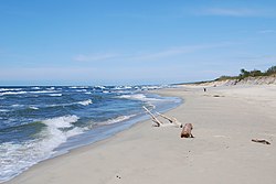 Beach in Nowa Karczma