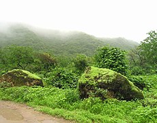 The Dhofar mountainous region in southeastern Oman, where the city of Salalah is located, is a tourist destination known for its annual khareef season