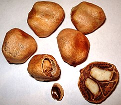 Marula stones