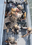 SEALs climb a caving ladder during a VBSS training.
