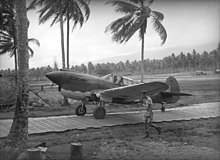 A single-engined propeller-driven monoplane moves down a narrow path between coconut palms.