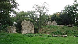 The motte and castle ruins in Avrilly