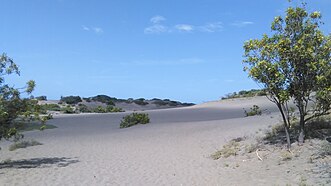 Desert sand dunes of Bani.