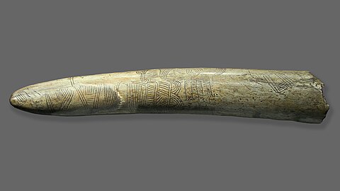 Engraved "map" on a Gravettian mammoth tusk