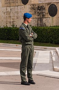 Presidential Guard member in battledress