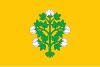 Flag of Cospicua