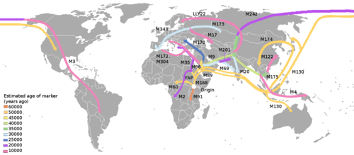 Homo sapiens migration map, based upon DNA markers