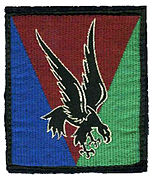 Insignia of the 10th Parachute Division of France