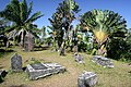 Image 75The cemetery of past pirates at Île Ste-Marie (St. Mary's Island) (from Piracy)