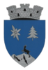 Coat of arms of Borșa