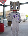 The TCU mascot is commonly known as Super Frog to TCU fans and students. He is usually present at TCU sporting events.