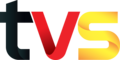 TVS logo used since December 31, 2023.