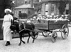 Donkey and wagon full of children (1925)
