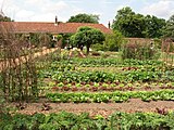 Ham House, kitchen garden with the orangery at the end (inevitably, now a cafe)