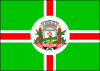 Flag of Monte Alegre, Pará