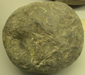 A stone cannonball found in Tây Đô castle