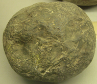 Stone projectile for catapult
