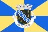 Flag of Estarreja